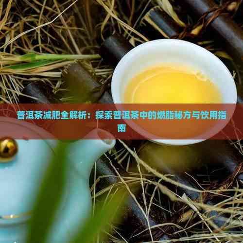 普洱茶减肥全解析：探索普洱茶中的燃脂秘方与饮用指南