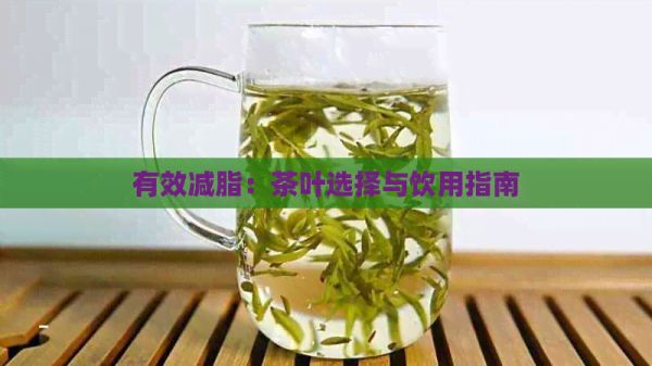 有效減脂：茶葉選擇與飲用指南