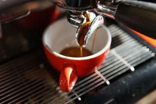 碧生源減肥茶正確喝法，碧生源減肥茶怎么喝?