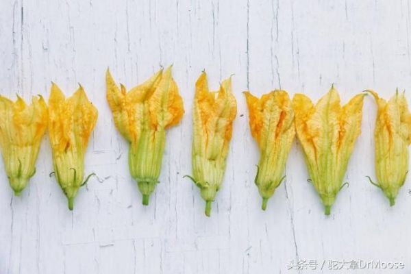 煎南瓜花配楓糖杏子醬