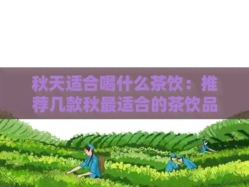 秋天適合喝什么茶飲：推薦幾款秋最適合的茶飲品