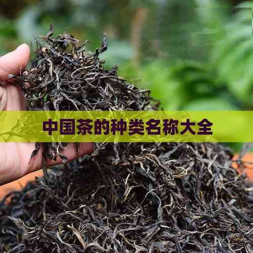 中國(guó)茶的種類名稱大全