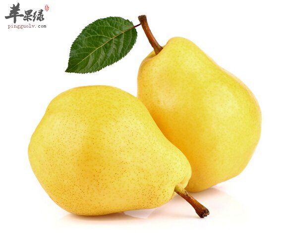 經(jīng)常吃梨子可以減肥嗎
