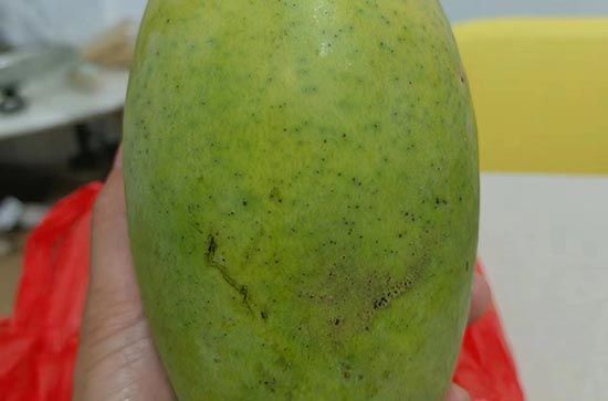 芒果的熱量是多少卡