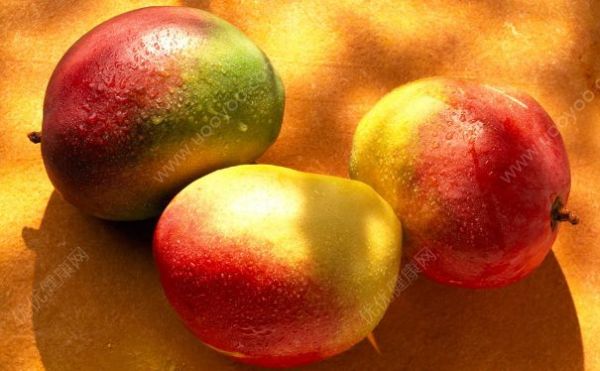 芒果的熱量高嗎？芒果的熱量是多少？(3)