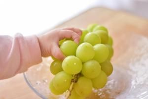 巨峰葡萄的功效,葡萄的功效,葡萄