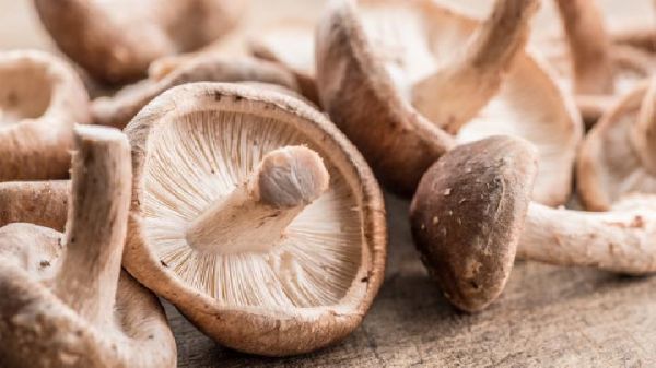 適合春季減肥的食譜都有哪些 這4款低gi值食物既然健康又瘦身