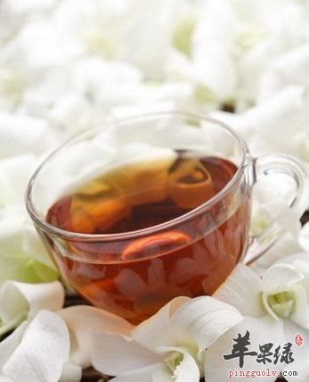 減肥排毒喝什么茶