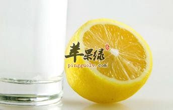 減肥排毒喝什么茶