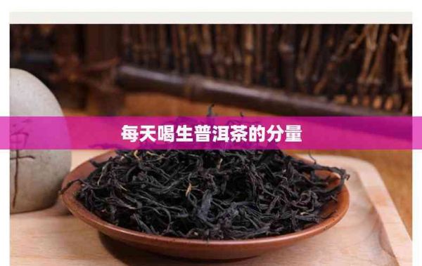 每天喝生普洱茶的分量
