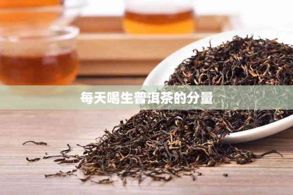 每天喝生普洱茶的分量