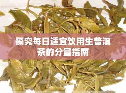 探究每日適宜飲用生普洱茶的分量指南