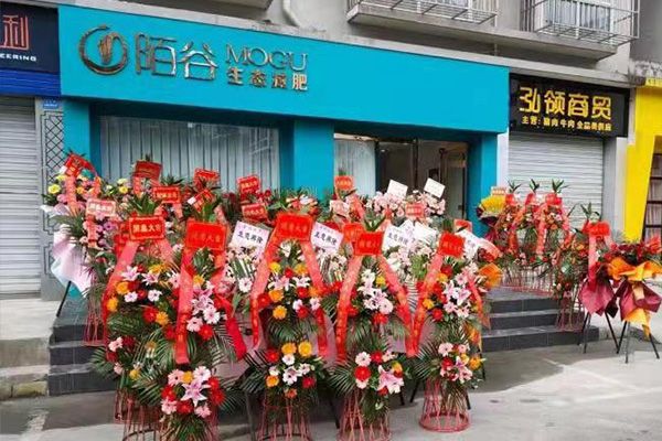 陌谷減肥連鎖案例