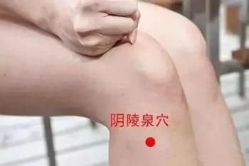 中醫(yī)去脂有高招：自制減肥茶+穴位按一按=衣服小2碼！