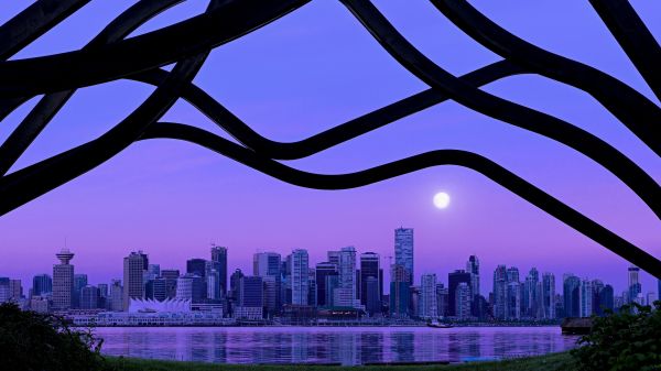 晨勃时如何排尿 岛国男人就是不一样