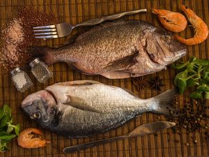 什么鱼防止脱发效果最好