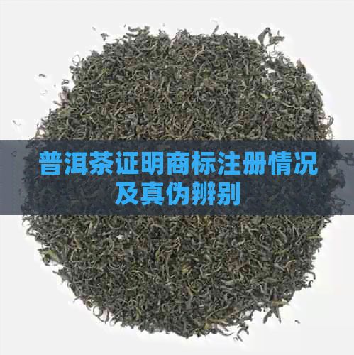 普洱茶證明商標(biāo)注冊情況及真?zhèn)伪鎰e