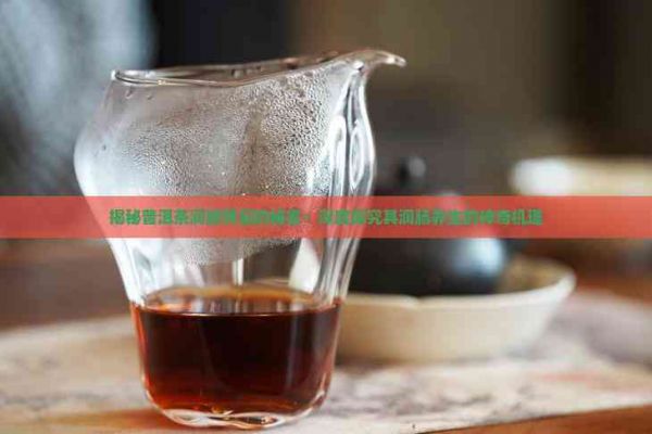 揭秘普洱茶潤(rùn)腸背后的秘密：深度探究其潤(rùn)腸養(yǎng)生的神奇機(jī)理