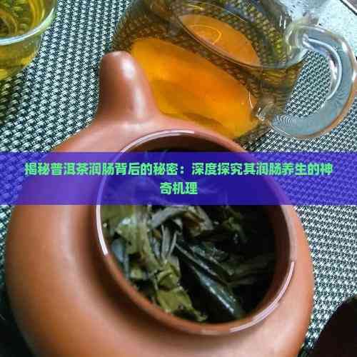 揭秘普洱茶潤(rùn)腸背后的秘密：深度探究其潤(rùn)腸養(yǎng)生的神奇機(jī)理