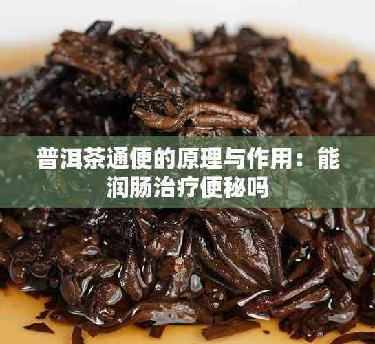 普洱茶通便的原理與作用：能潤腸治療便秘嗎