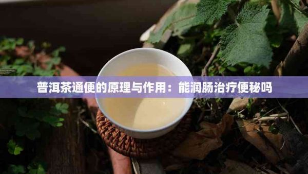 普洱茶通便的原理與作用：能潤腸治療便秘嗎