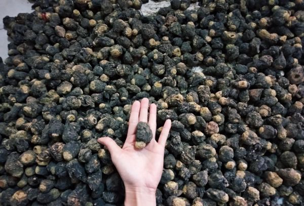 孕妇慎用提示图