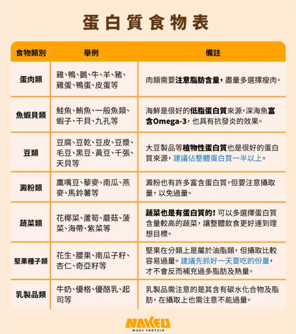 蛋白質(zhì)：蛋白質(zhì)食物