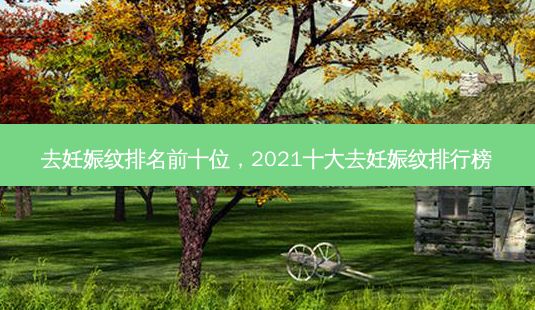 去妊娠紋排名前十位，2021十大去妊娠紋排行榜-第1張圖片-一諾整形網(wǎng)