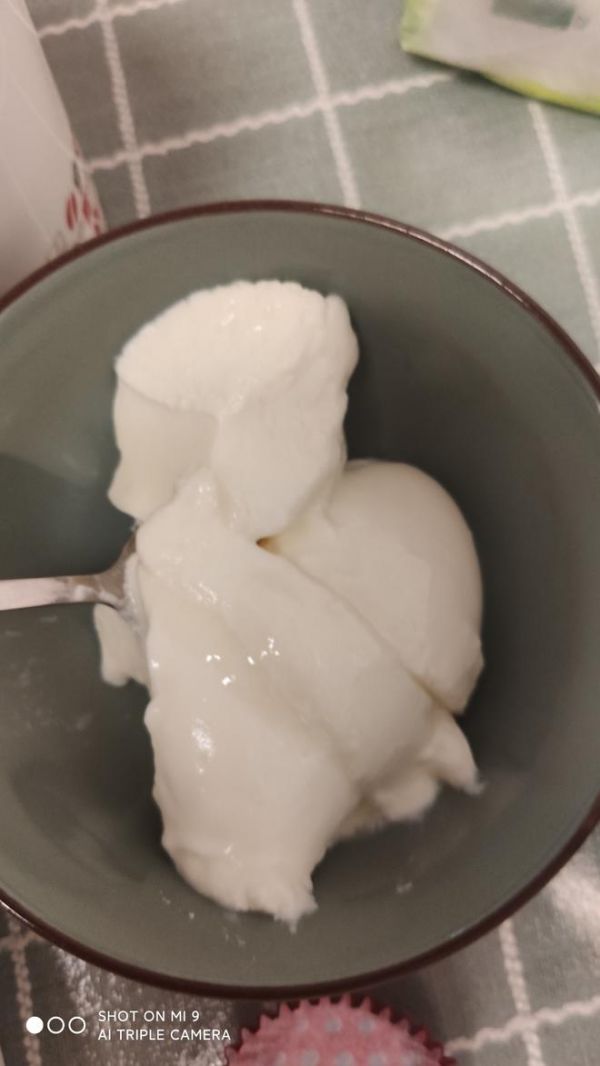 自制酸奶健康美味的做法