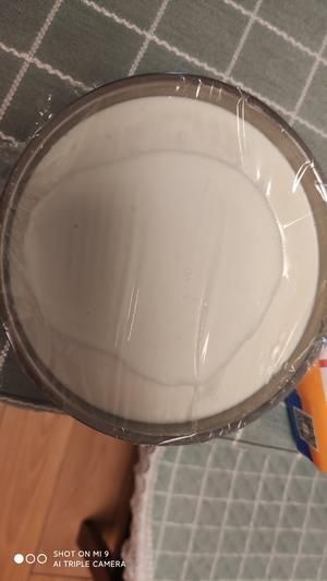 自制酸奶健康美味的做法 步驟4