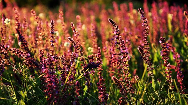 緩解腰膝酸軟眼睛痛的最好五個(gè)方法