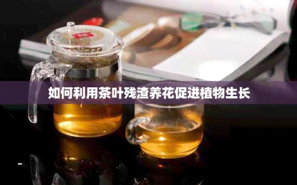 如何利用茶葉殘?jiān)B(yǎng)花促進(jìn)植物生長