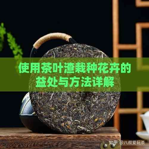 使用茶葉渣栽種花卉的益處與方法詳解