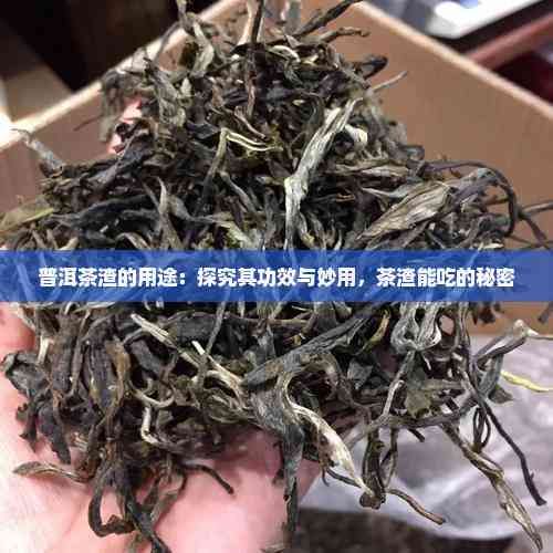 普洱茶渣的用途：探究其功效與妙用，茶渣能吃的秘密