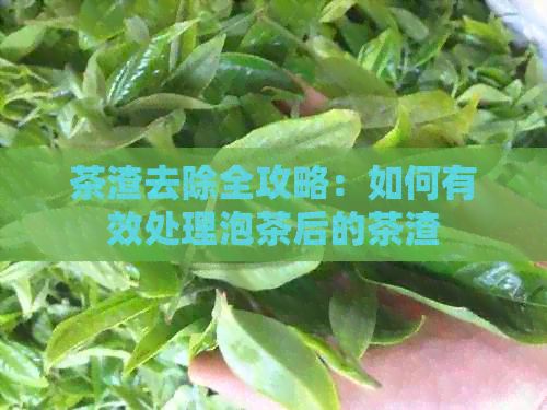 茶渣去除全攻略:如何有效处理泡茶后的茶渣