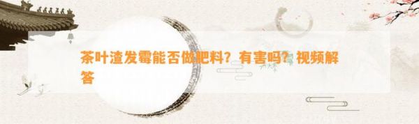 茶葉渣發(fā)霉能否做肥料？有害嗎？視頻解答