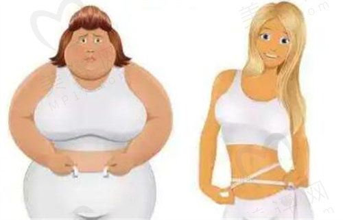 什么減肥方法更有效？