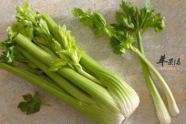 不起眼的蔬菜可以減肥 快試試1