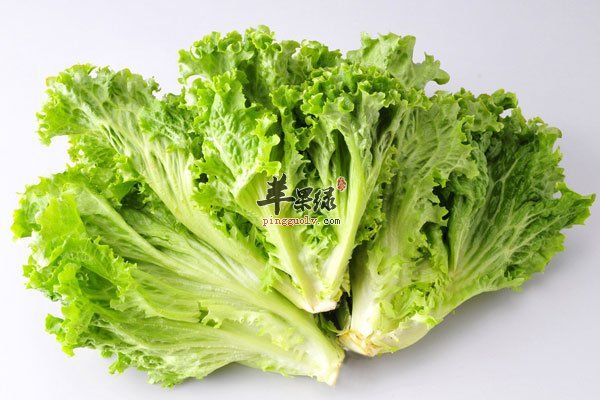 不起眼的蔬菜可以減肥 快試試3