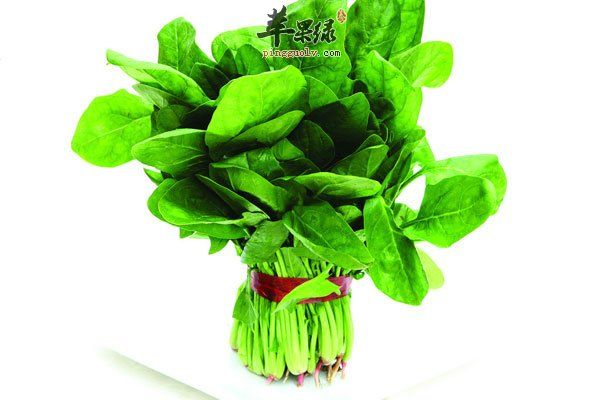 不起眼的蔬菜可以減肥 快試試2