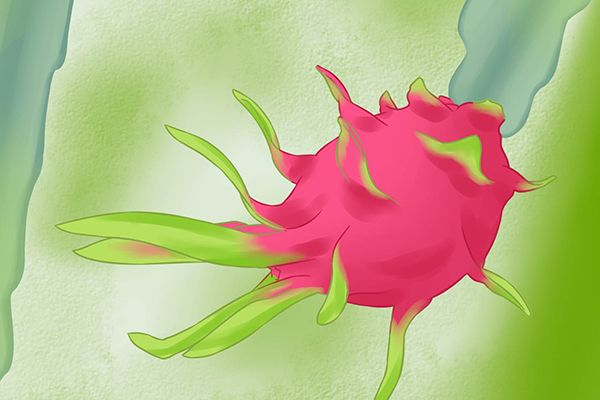 高纖維食物有哪些水果