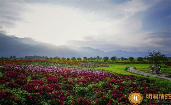 如何讓婚姻長久健康,這些方法讓婚姻長久幸福