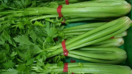 哪些蔬菜是低熱量的食物