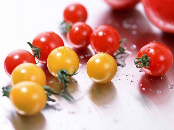 減肥養(yǎng)生之低熱量蔬菜