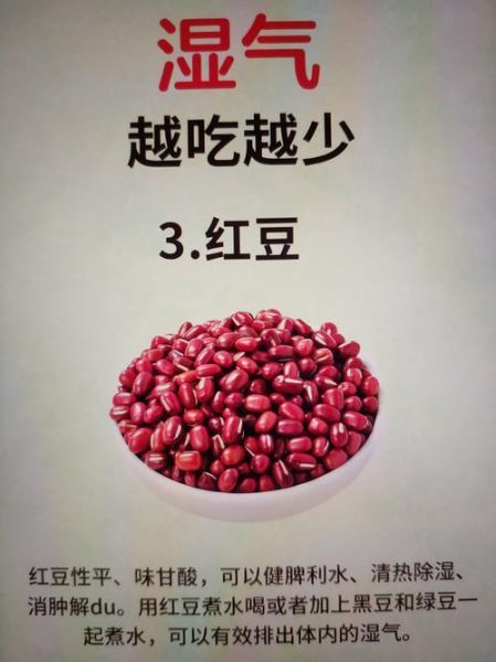 除湿的食物有哪些_湿气重吃什么最快祛湿-第1张图片-山城妙识