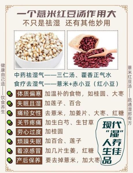 除湿的食物有哪些_湿气重吃什么最快祛湿-第3张图片-山城妙识