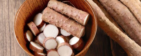 健康养生食谱大公开