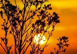 酸奶和益生菌，腸胃不好的人該怎么挑?