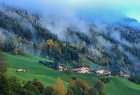 酸奶和益生菌，腸胃不好的人該怎么挑?