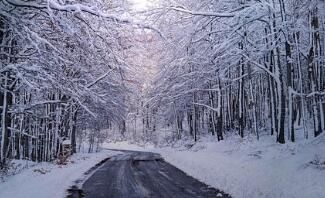 酸奶和益生菌，腸胃不好的人該怎么挑?